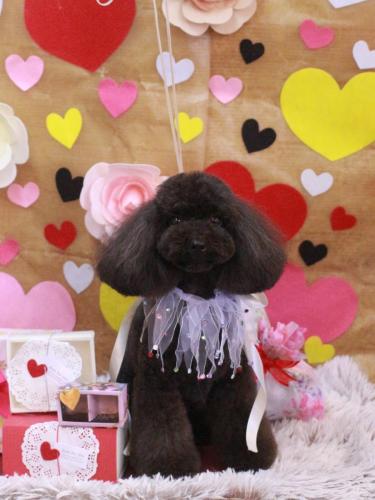 20230228姫子ちゃん